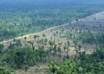 FAO: Asia-Pacific’s biodiversity loss threatens food security, habitats