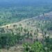 FAO: Asia-Pacific’s biodiversity loss threatens food security, habitats