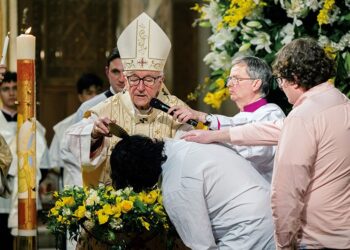 What do the green shoots mean?